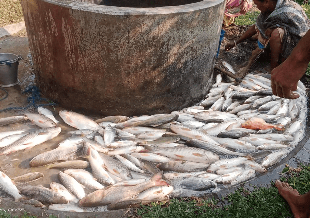 TRESP Tripura Gomati: Empowering Grassroots Through Incredible Economic Success